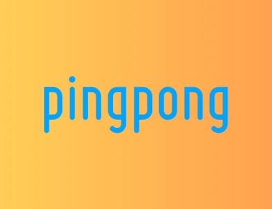 pingpong payments nedir